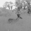 huntandlift