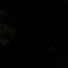 cedric_furdge
