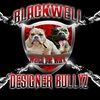 designerbullyz