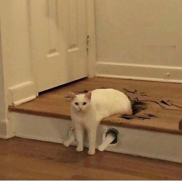 jmwoo
