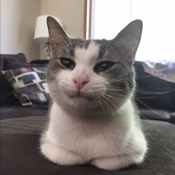 mimimm1