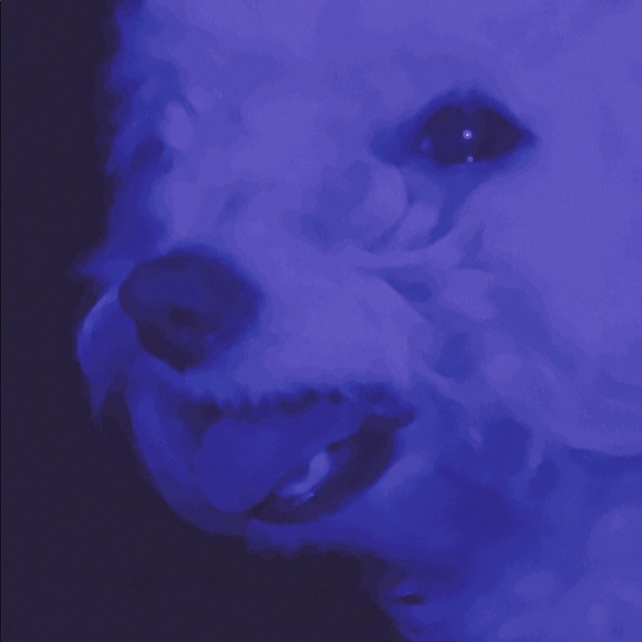 billy_666