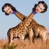 jakegallagher