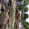 kdupreez