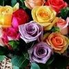 fsh_sherkat