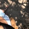 laceyecher23
