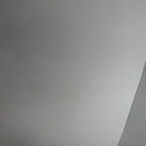 monicavc36