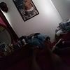 lomouling