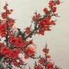 qing4395
