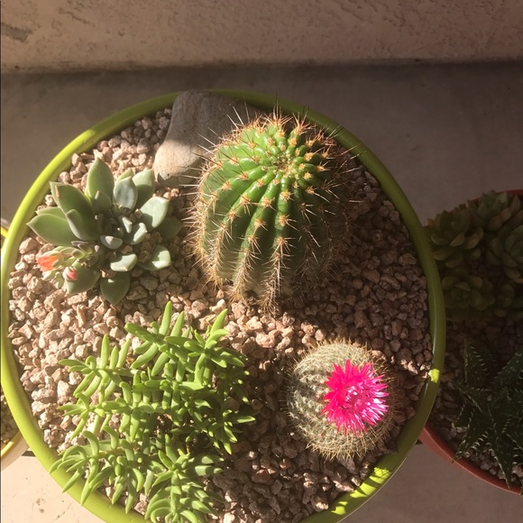 sunny23234