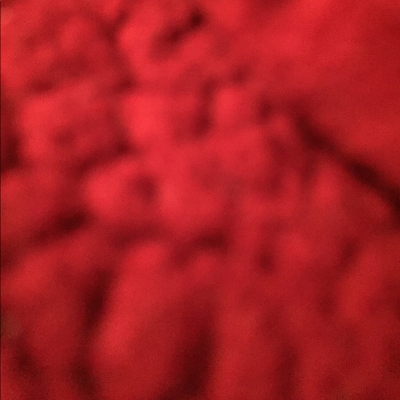 hayleyb_00