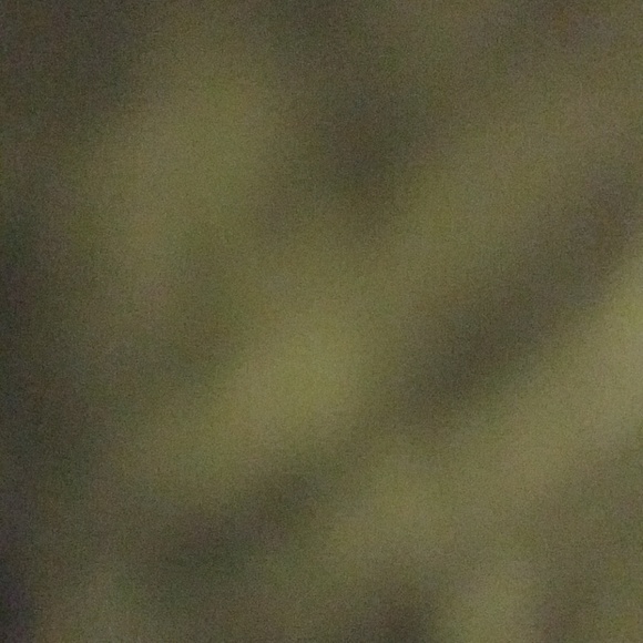 ogjoeyc