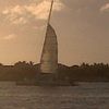 sparkles_1973