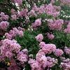 egb_12