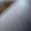 davefboots