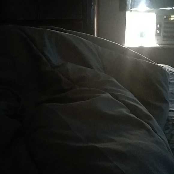 chilllamb