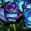 pricethis