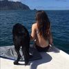 surfxcait
