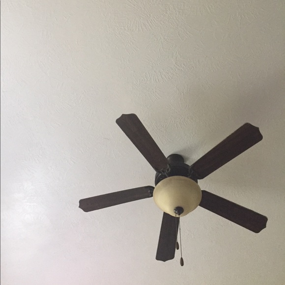 brownldamon