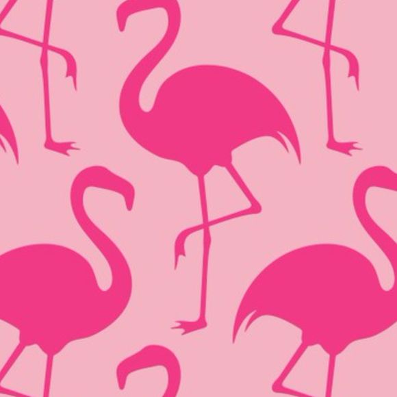 _pink_flamingos