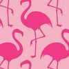 _pink_flamingos