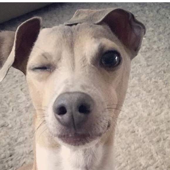 daaayzeee