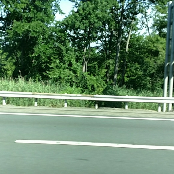 lisamlang