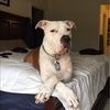 carterp502