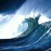 windnsea