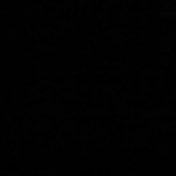 jlewisjax
