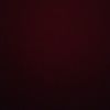 dais_11