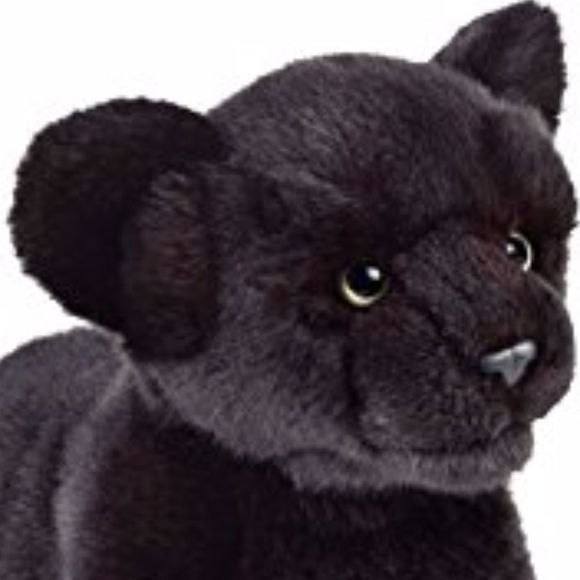 panther64