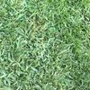jasmin12712