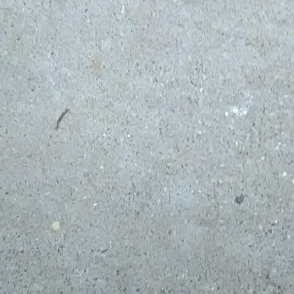 gabrielaij0915