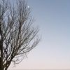 danvill_