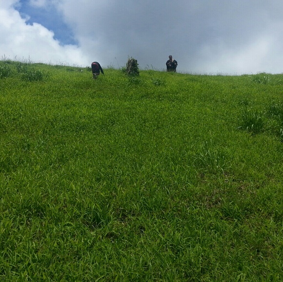 gigsohana