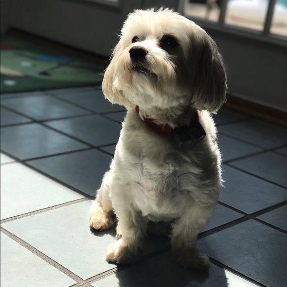 kellbelle043015