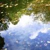 secondthought2