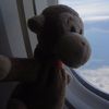travelmonkey