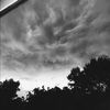 addison_engle