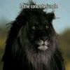 jrocc815