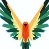 raven_7