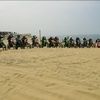 youngcssl