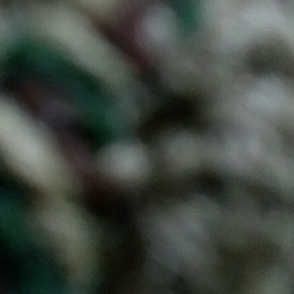 alialialibest