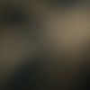 ashuntierab