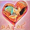 haloe