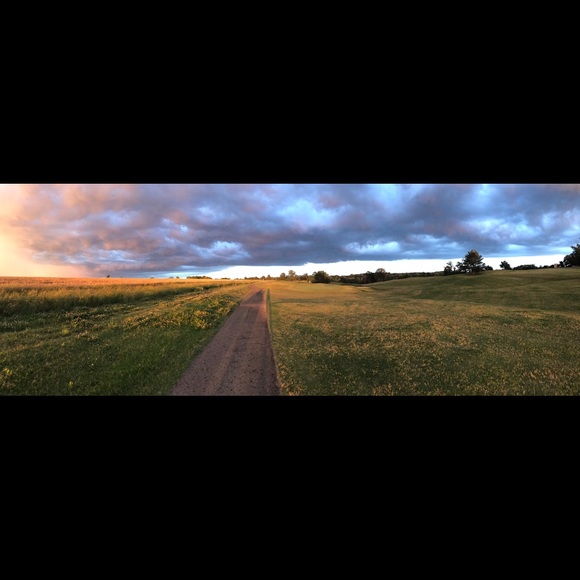 sunnydmoore