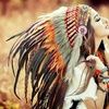 nativehook