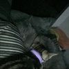 jess_botello