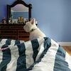 wallycat1